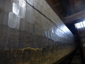 P1050306